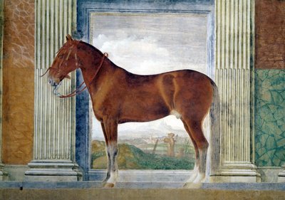 Sala dei Cavalli, (detail) by Giulio Romano
